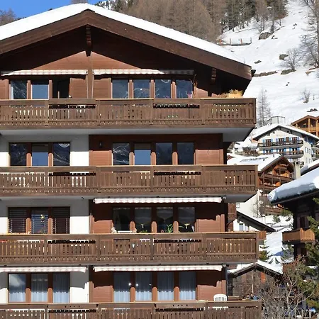 Apartment Haus Domino *